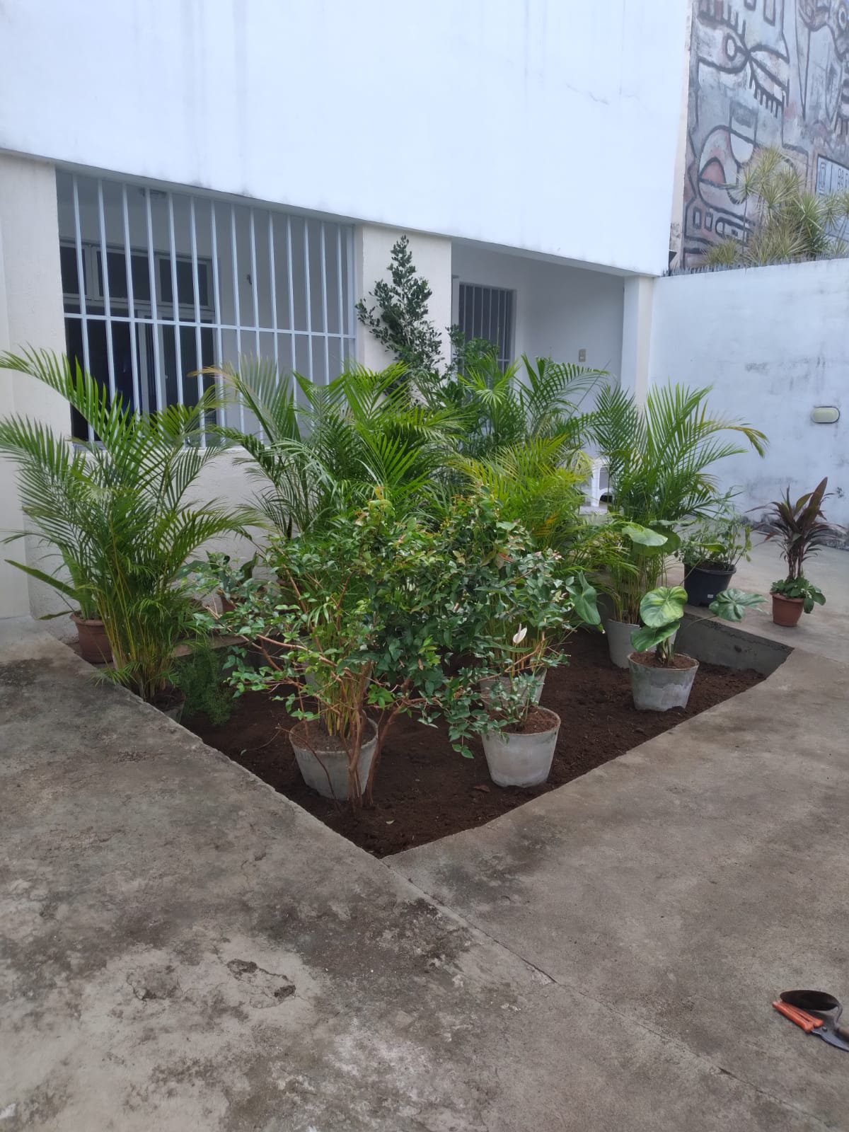 Trabalho realizado pela MDH Jardinagem