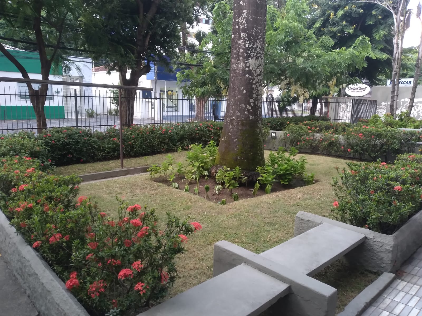 Trabalho realizado pela MDH Jardinagem